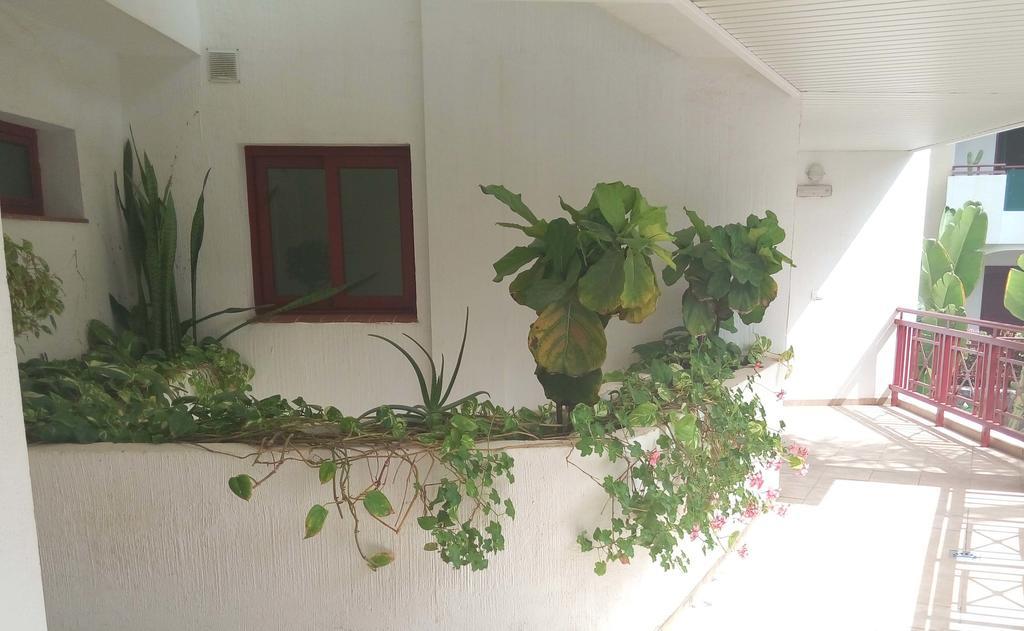 C101 Los Balandros Palm-mar Luaran gambar
