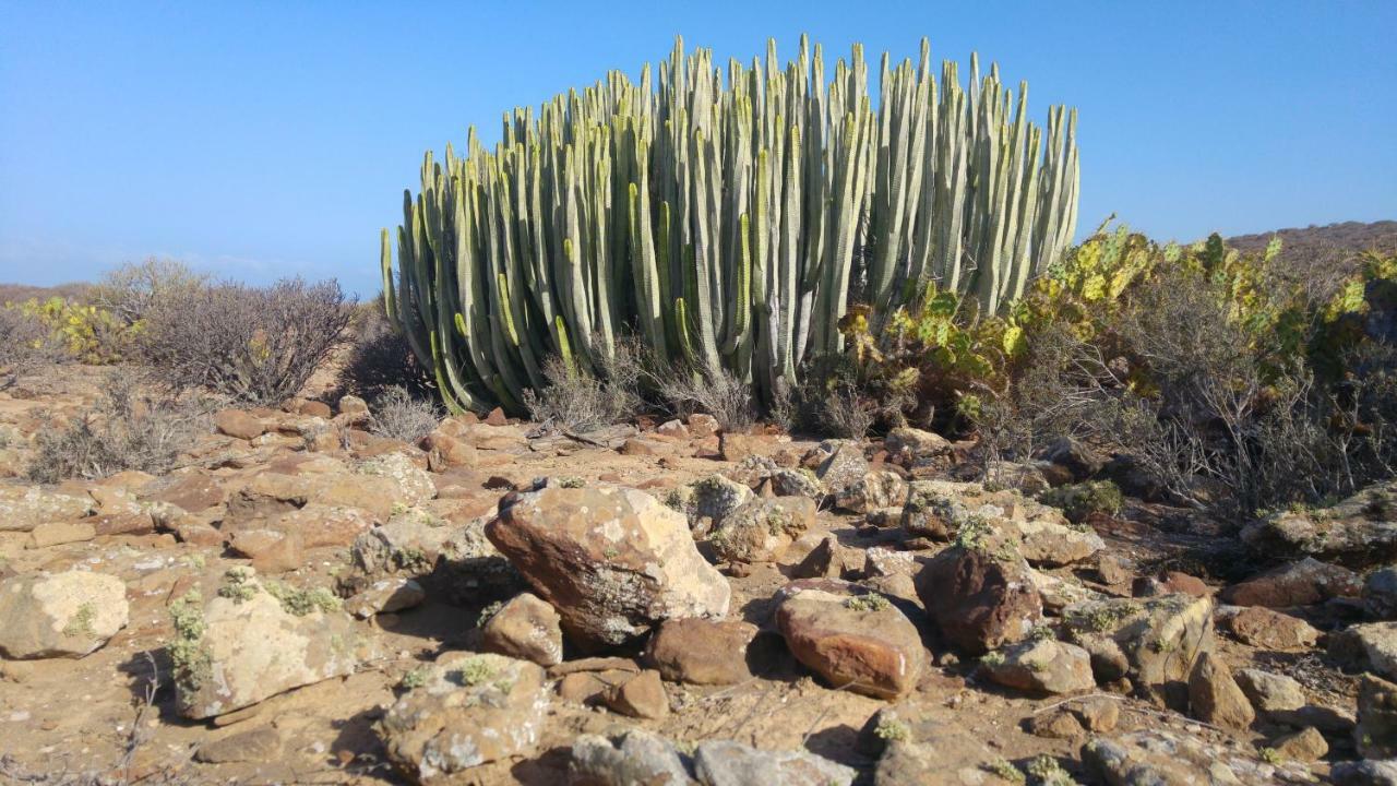 C101 Los Balandros Palm-mar Luaran gambar